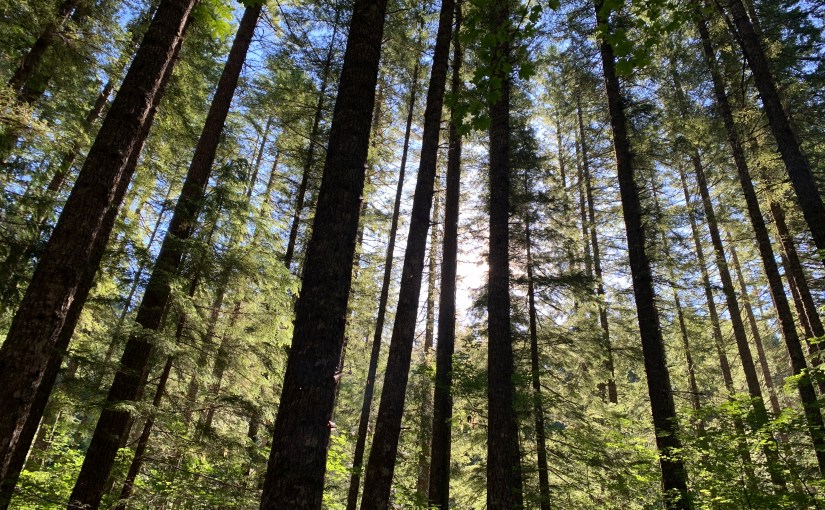 To Launch Or Not To&nbsp;Launch